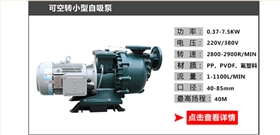 可空轉小型自吸泵