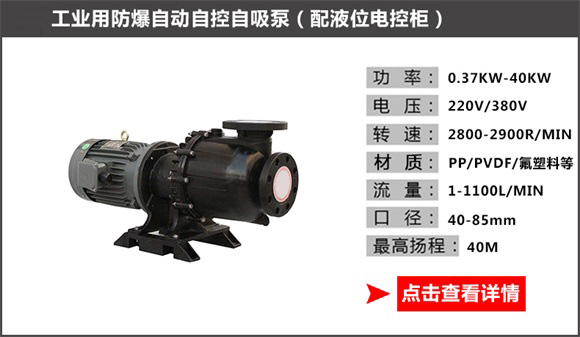 工業(yè)用防爆自動自控自吸泵（配液位電控柜）