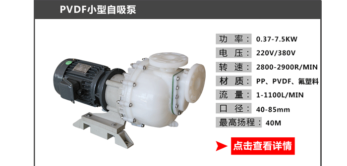 pvdf小型自吸泵